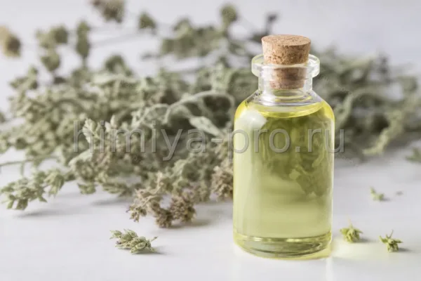 ЭФИРНОЕШАНДРЫ ДУШИСТОЙ (КОТОВНИКА), масло
