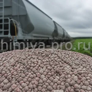 Серо-розовые гранулы нитроаммофоски 24-6-12 на фоне крытого вагона-хоппера и свекловичного поля