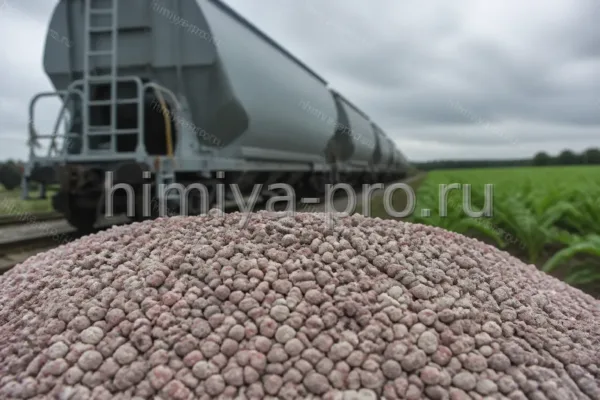 Нитроаммофоска 24-6-12 (), гранулы