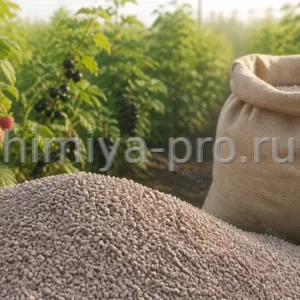 Однородные серо-розовые гранулы нитроаммофоски 24-6-12 без примесей у мешка на ягодной плантации малины