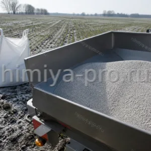 Серо-белые гранулы азотофосфата NP 33:3 у разбрасывателя на поле для весенней подкормки зерновых