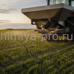Навесной разбрасыватель вносит гранулы азотофосфата N 33% по всходам яровой пшеницы на зерновом поле.