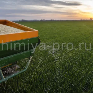 Гранулы сульфонитрата 30:7 в бункере разбрасывателя на поле озимой пшеницы, азот и сера для зерновых и масличных