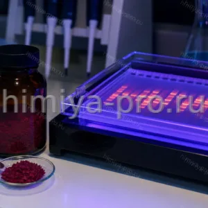 Красно-фиолетовый порошок этидиум бромида и агарозный гель на UV-трансиллюминаторе в молекулярной биологии